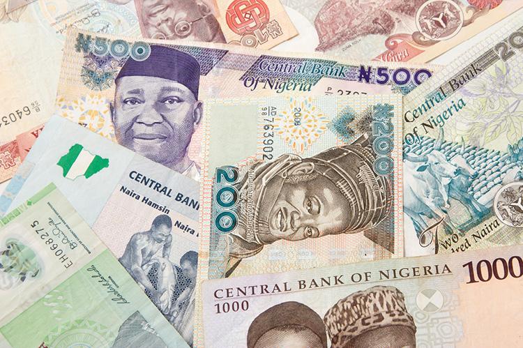  The Naira is the currency of Nigeria (© Shutterstock/Pavel Shlykov) 