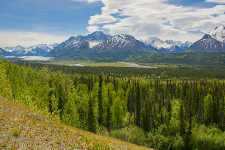 View of the Matanuska Glacier from a highway in Alaska (© Shutterstock/Lukas.Vondracek94)