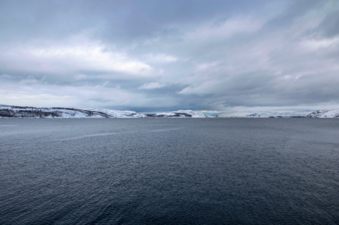 Coast of the Barents Sea near Kirkenes in the northeast of Norway (© Shutterstock/Ana del Castillo)
