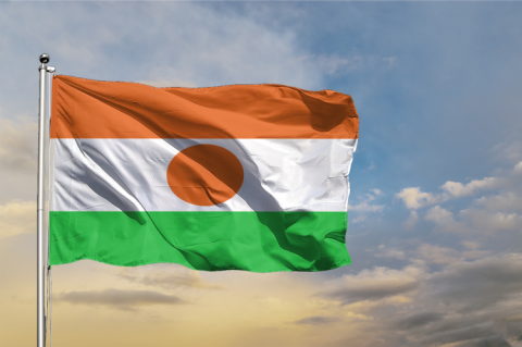 Flag of Niger (© Shutterstock/Svet foto)