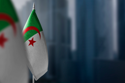 Flags of Algeria (© Shutterstock/BUTENKOV ALEKSEI)