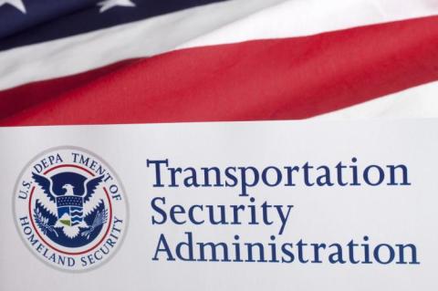 TSA seal on the US flag (copyright by Shutterstock/danielfela)