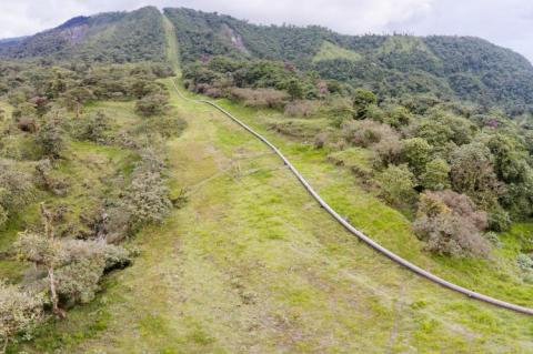 The Trans-Andean oil pipeline passing through montane rainforest in the Ecuadorian Amazon (copyright by Adobe Stock/Atelopus)