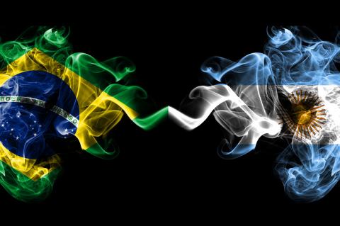 Brazilian and argentine flag plumes (copyright by Shutterstock/vladm)