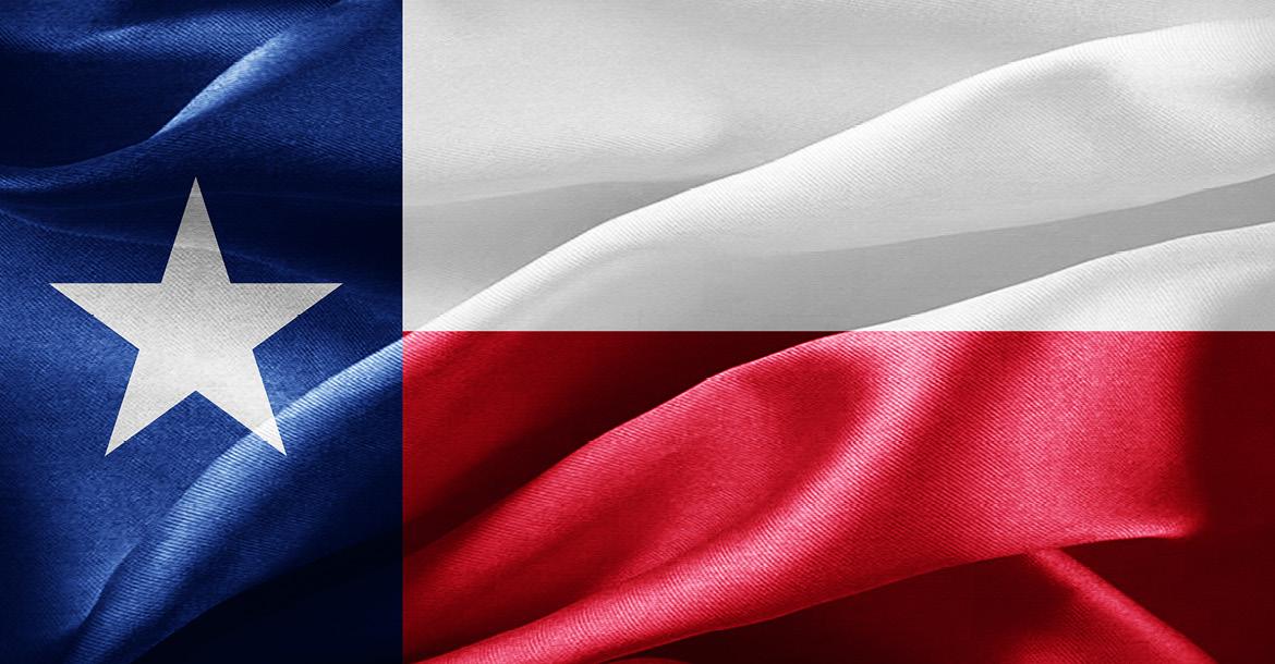 Flag of Texas (© Shutterstock/patrice6000) 